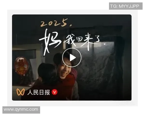 童家堡的野猫传奇与人类的温情互动探秘之旅