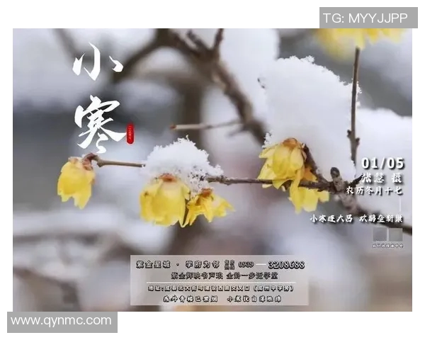 小寒时节情感波动加剧如何应对内心的伤痛与困惑 小寒时节情感波动加剧如何应对内心的伤痛与困惑